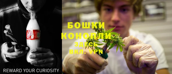 ECSTASY Богданович