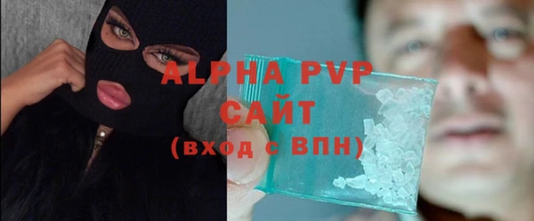 ECSTASY Богданович