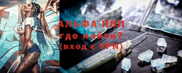 ECSTASY Богданович
