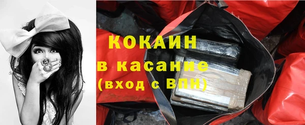 ECSTASY Богданович