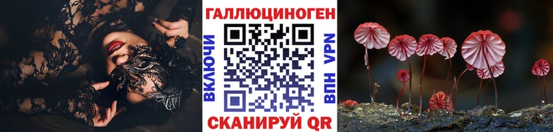 Псилоцибиновые грибы Psilocybe закладки Йошкар-Ола